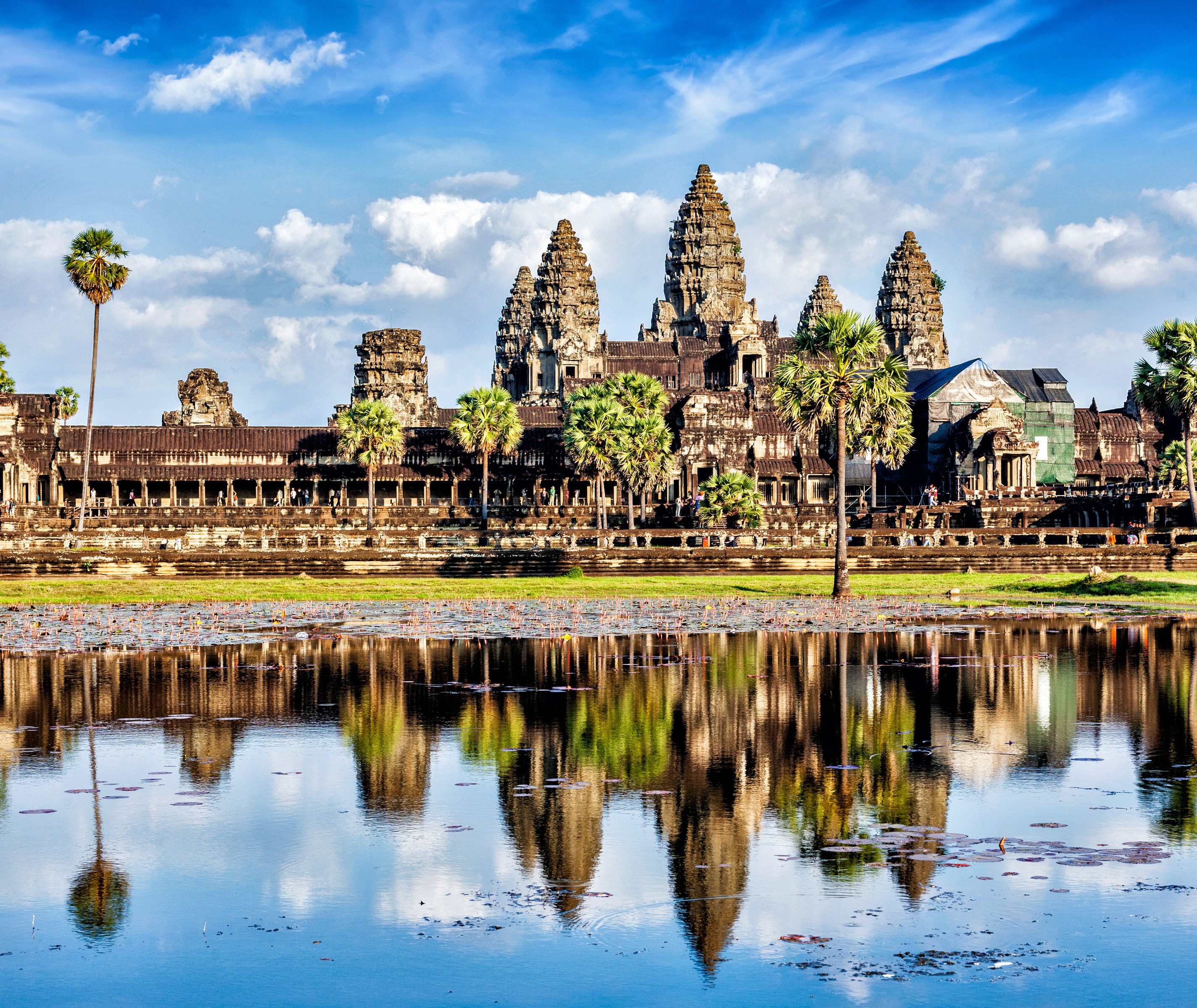 IPS Cambodia : Votre Partenaire Immobilier au Cambodge