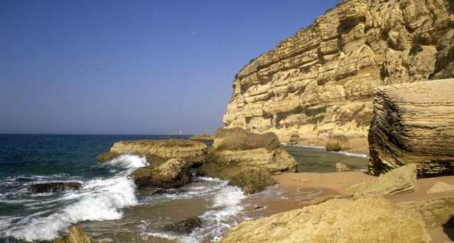 Barbate